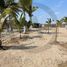  Terreno (Parcela) en venta en Culiacan, Sinaloa, Culiacan