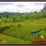  Land for sale in Ubud, Bali, Ubud, Gianyar