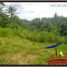  Land for sale in Ubud, Bali, Ubud, Gianyar