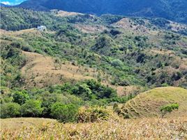 1 Habitación Casa en venta en Gualaca, Chiriquí, Hornito, Gualaca