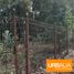  Villa for sale in Freire, Araucania, Freire