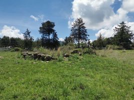  Terreno (Parcela) en venta en Amealco De Bonfin, Querétaro, Amealco De Bonfin