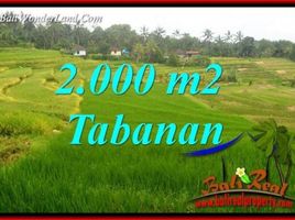  Land for sale in Selemadeg, Tabanan, Selemadeg