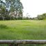  Land for sale in Rionegro, Antioquia, Rionegro