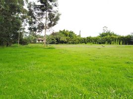  Land for sale in Rionegro, Antioquia, Rionegro