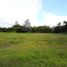  Land for sale in Rionegro, Antioquia, Rionegro