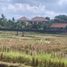  Land for sale in Kerambitan, Tabanan, Kerambitan