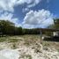  Land for sale in Othon P Blanco, Quintana Roo, Othon P Blanco