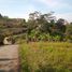  Land for sale in Bandung, West Jawa, Ngamprah, Bandung