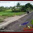  Land for sale in Tabanan, Bali, Tabanan, Tabanan