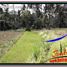  Land for sale in Ubud, Gianyar, Ubud