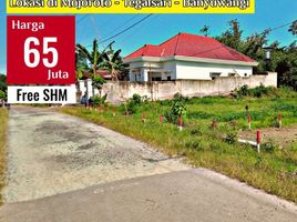  Land for sale in Banyuwangi, East Jawa, Gambiran, Banyuwangi