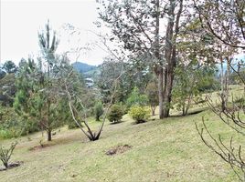  Grundstück zu verkaufen in Retiro, Antioquia, Retiro