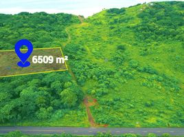  Land for sale in Pedernales, Manabi, Pedernales, Pedernales