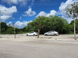  Grundstück zu verkaufen in Progreso, Yucatan, Progreso