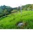  Land for sale in Fredonia, Antioquia, Fredonia