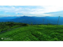  Land for sale in Fredonia, Antioquia, Fredonia