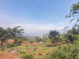  Land for sale in Bandung, West Jawa, Margacinta, Bandung