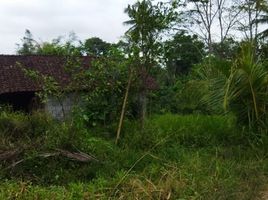  Terreno (Parcela) en venta en Seyegan, Yogyakarta, Seyegan