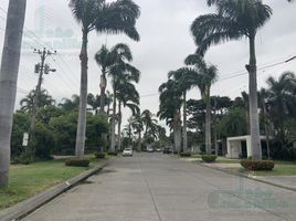  Terreno (Parcela) en venta en Samborondón, Guayas, Samborondon, Samborondón