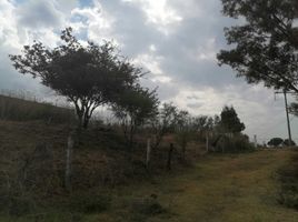  Grundstück zu verkaufen in Morelia, Michoacan, Morelia