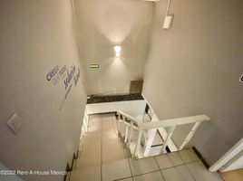 217 m² Office for rent in Benito Juarez, Ciudad de México, Benito Juarez