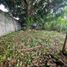 Land for sale in Cardenas, Tabasco, Cardenas, Tabasco