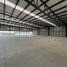 797 m2 Office for rent in Guadalajara, Jalisco, Guadalajara