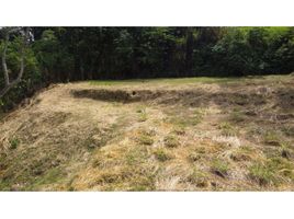  Terreno (Parcela) en venta en Caldas, Palestina, Caldas