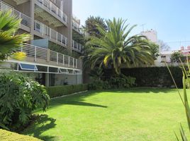 Appartement 3 chambre à vendre à Miguel Hidalgo, Mexico City, Miguel Hidalgo