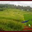  Land for sale in Selemadeg, Tabanan, Selemadeg