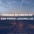  토지을(를) San Pedro Lagunillas, Nayarit에서 판매합니다., San Pedro Lagunillas