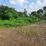  Land for sale in Bandung, West Jawa, Ngamprah, Bandung