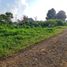  Land for sale in Bandung, West Jawa, Ngamprah, Bandung