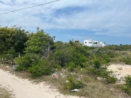  토지을(를) Chicxulub Pueblo, 유카탄에서 판매합니다., Chicxulub Pueblo