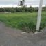  Land for sale in San Jose De Chaltura, Antonio Ante, San Jose De Chaltura