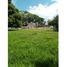  Land for sale in Andalucia, Valle Del Cauca, Andalucia