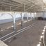 1,460 m2 Office for rent in Torreon, Coahuila, Torreon