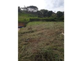  Land for sale in Pereira, Risaralda, Pereira