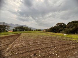  Terreno (Parcela) en venta en El Carmen De Viboral, Antioquia, El Carmen De Viboral