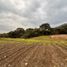  Terreno (Parcela) en venta en El Carmen De Viboral, Antioquia, El Carmen De Viboral