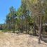  Terreno (Parcela) en venta en La Costa, Buenos Aires, La Costa