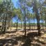  Terreno (Parcela) en venta en La Costa, Buenos Aires, La Costa
