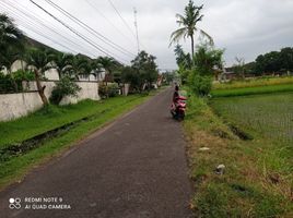  Land for sale in Yogyakarta, Gamping, Sleman, Yogyakarta