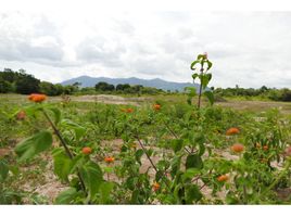  Terrain for sale in Bejuco, Chame, Bejuco