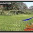  Terrain for sale in Tegallalang, Gianyar, Tegallalang