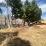  Land for sale in Jocotepec, Jalisco, Jocotepec