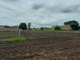  Land for sale in San Fernando, Chaco, San Fernando