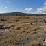  Terreno (Parcela) en venta en Epazoyucan, Hidalgo, Epazoyucan, Hidalgo