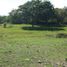  Land for sale in Huila, Neiva, Huila